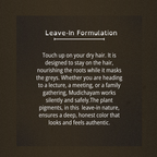 Ilanji’s Mudichayam : The 100% Plant-Powered Leave in Root Touch-Up