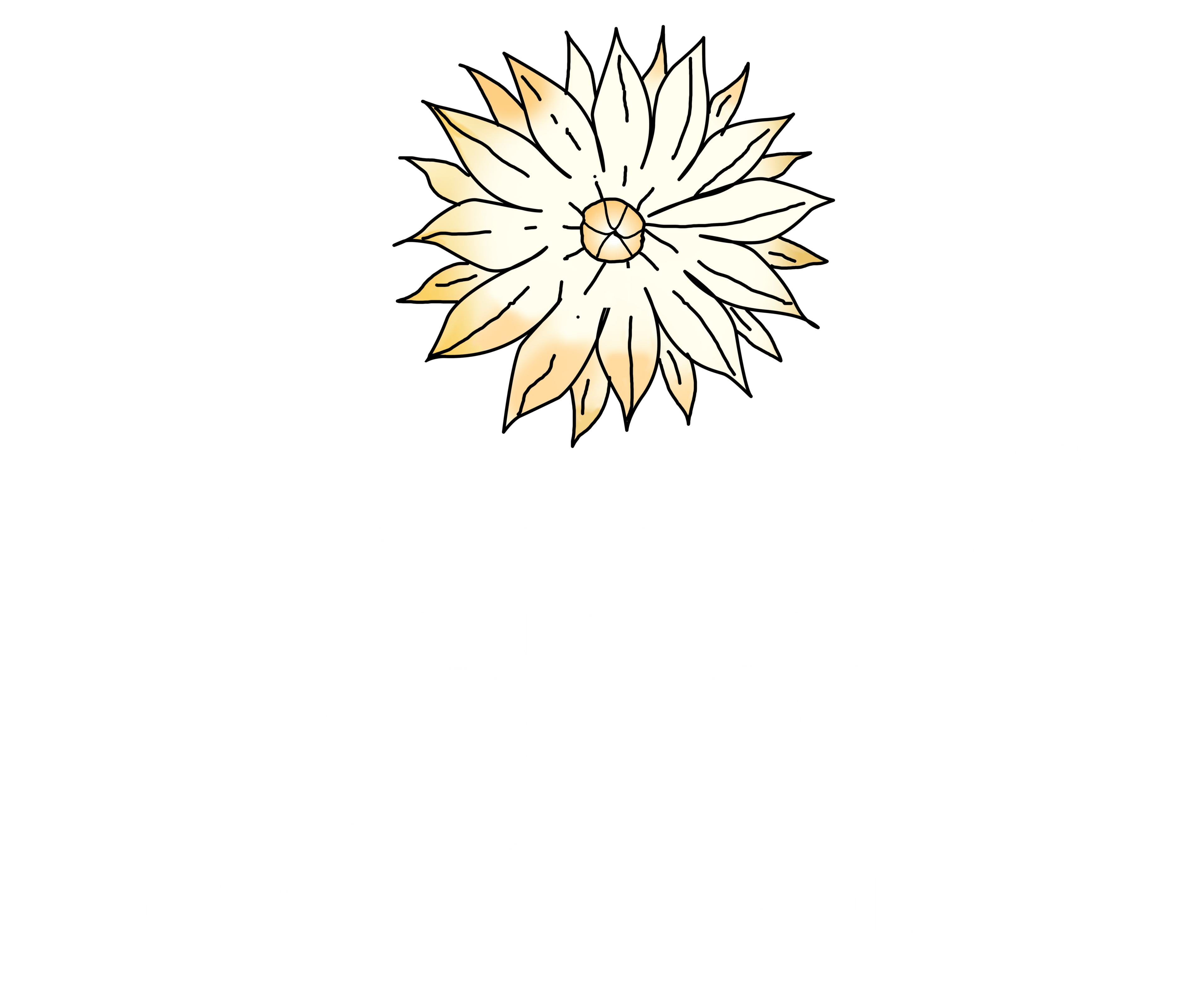 Ilanji Store